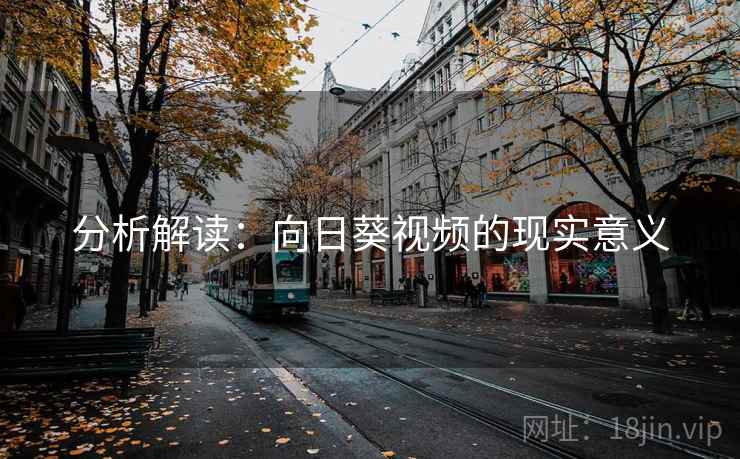 分析解读：向日葵视频的现实意义  第2张