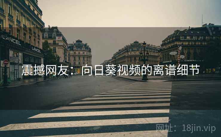 震撼网友：向日葵视频的离谱细节