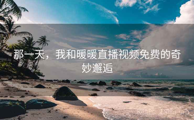 那一天,我和暖暖直播视频免费的奇妙邂逅