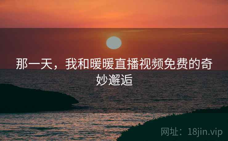 那一天,我和暖暖直播视频免费的奇妙邂逅