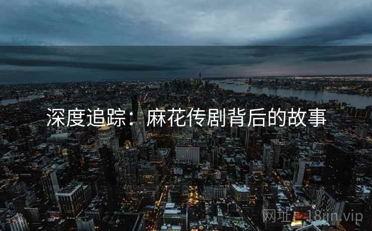 深度追踪:麻花传剧背后的故事
