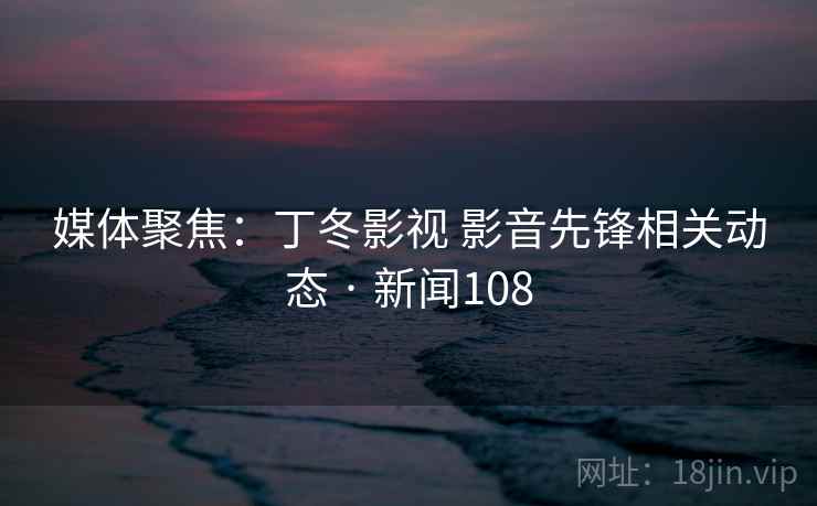 媒体聚焦:丁冬影视 影音先锋相关动态 · 新闻108