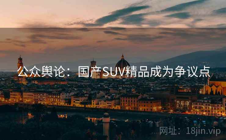 公众舆论：国产SUV精品成为争议点